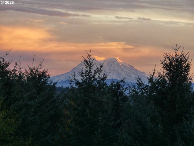 72 BLUE MOUNTAIN Rd, Castle Rock, WA 98611