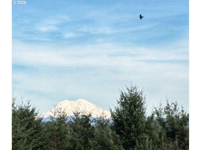 72 BLUE MOUNTAIN Rd, Castle Rock, WA 98611