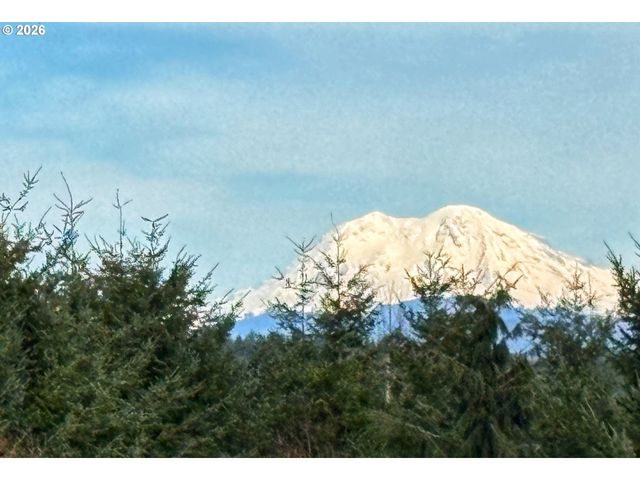 72 BLUE MOUNTAIN Rd, Castle Rock, WA 98611