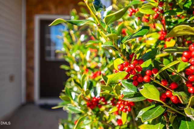 3548 Althorp Drive, Raleigh, NC 27616