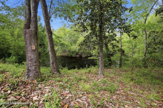 7071 Bayou Talla Lane, Kiln, MS 39556