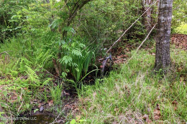 7071 Bayou Talla Lane, Kiln, MS 39556