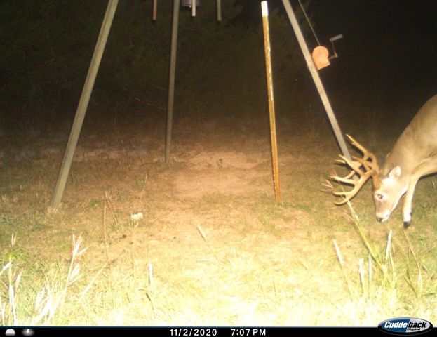 975 County Road 243, Valley Mills, TX 76689