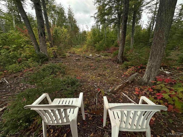 705 Winters Road, Trenary, MI 49891