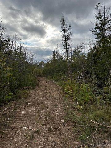 705 Winters Road, Trenary, MI 49891