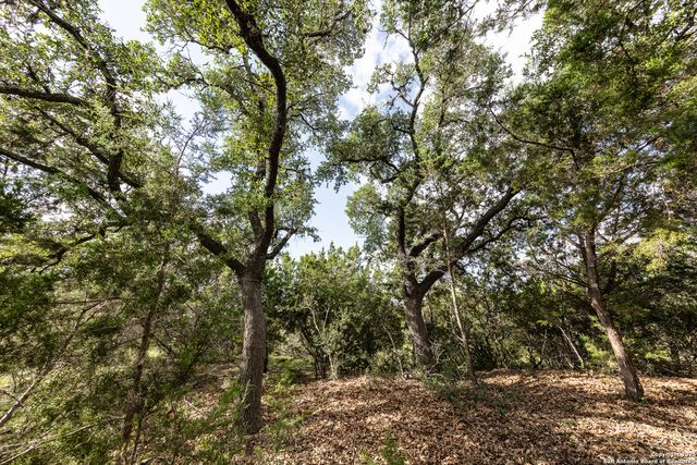 376 Charon Point, Spring Branch, TX 78070