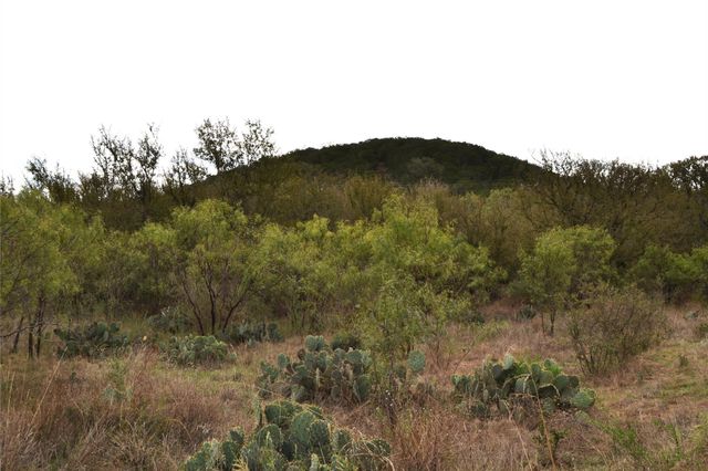 0 Ranch Road 2241, Tow, TX 78672
