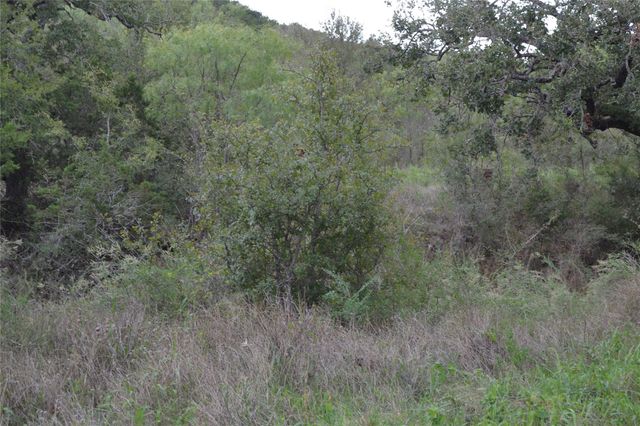 0 Ranch Road 2241, Tow, TX 78672