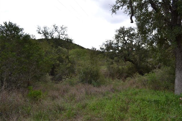 0 Ranch Road 2241, Tow, TX 78672