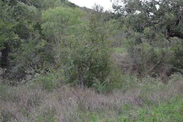 0 Ranch Road 2241, Tow, TX 78672