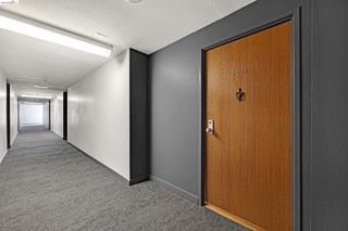 555 Pierce St 1001, Albany, CA 94706