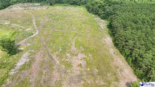 1714 Cale Yarborough hwy, Timmonsville, SC 29161