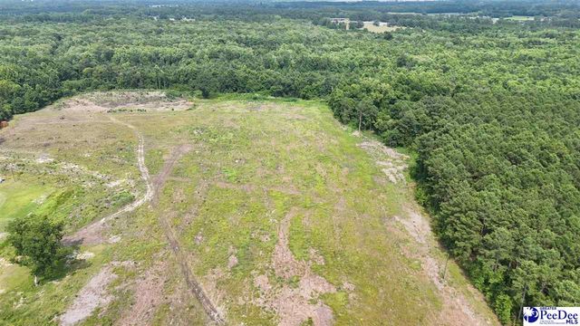 1714 Cale Yarborough hwy, Timmonsville, SC 29161
