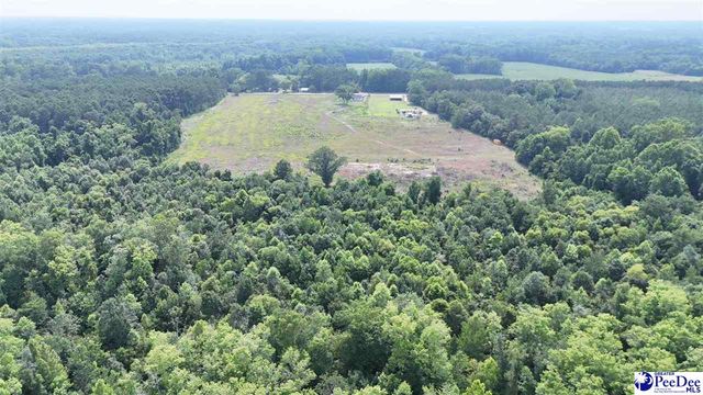 1714 Cale Yarborough hwy, Timmonsville, SC 29161
