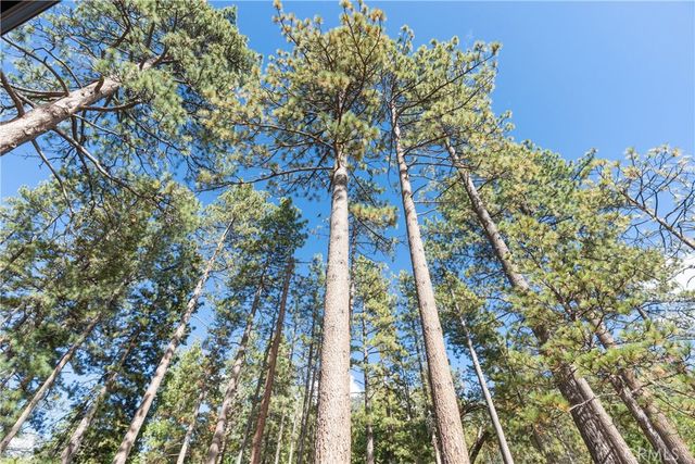 25220 Rim Rock, Idyllwild, CA 92549