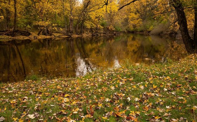 105 PRAIRIE STREET, Merrill, WI 54452