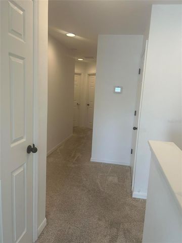 18879 ULMUS STREET, Lutz, FL 33558