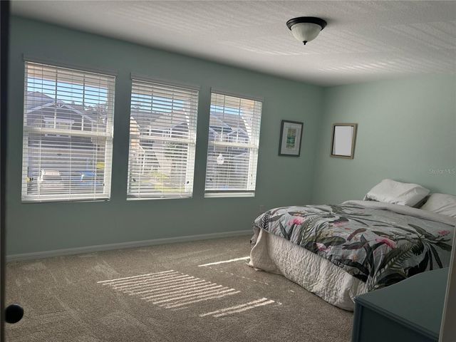 18879 ULMUS STREET, Lutz, FL 33558