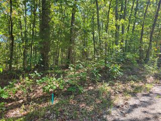 8 Strawberry Gables, Holladay, TN 38341