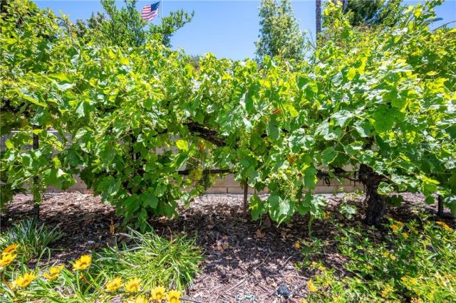 39986 Via Espana, Murrieta, CA 92562