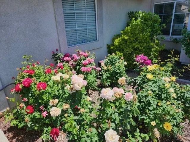 39986 Via Espana, Murrieta, CA 92562