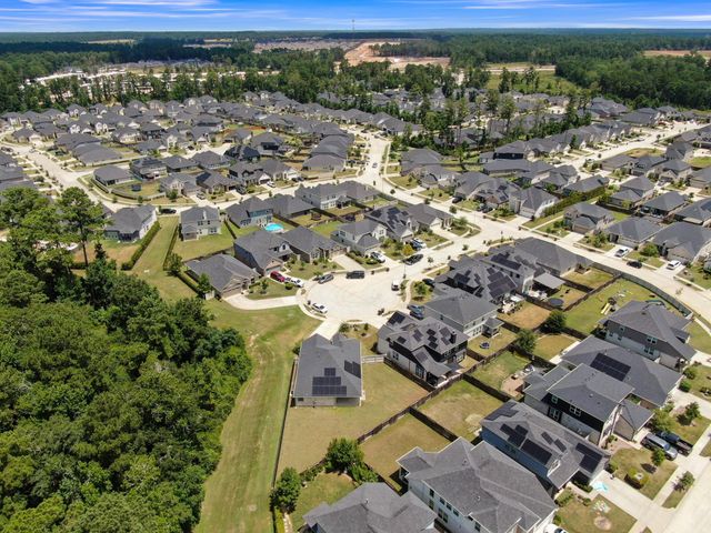 15423 Bell's Vireo Court, Magnolia, TX 77354