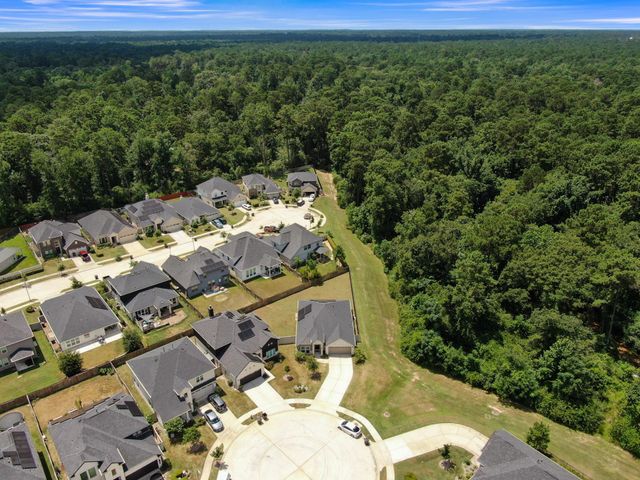 15423 Bell's Vireo Court, Magnolia, TX 77354