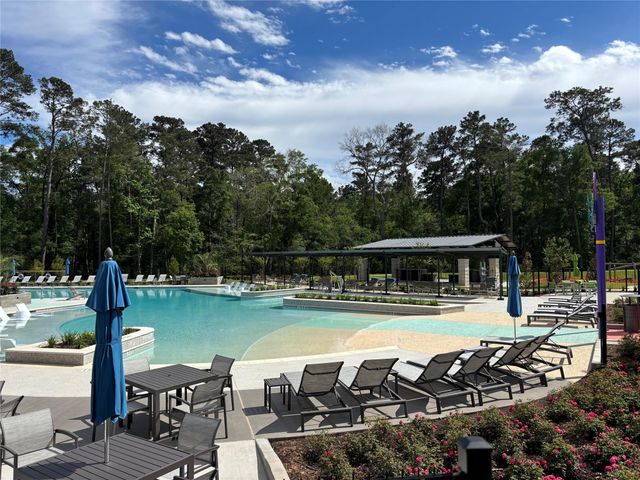 15423 Bell's Vireo Court, Magnolia, TX 77354