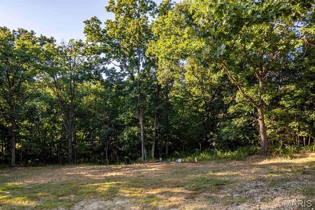 12050 Pike 9162, Louisiana, MO 63353