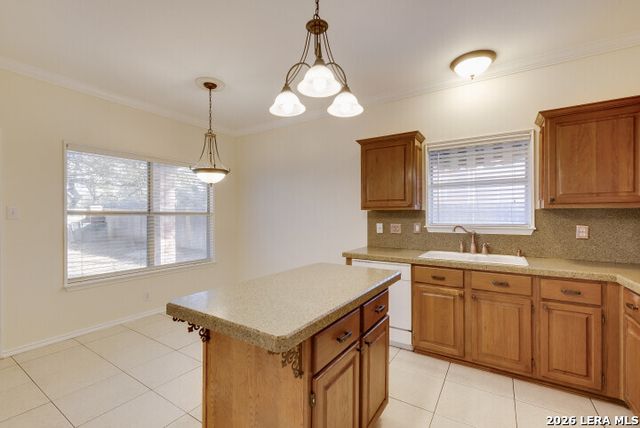 16907 Redhorse, San Antonio, TX 78247