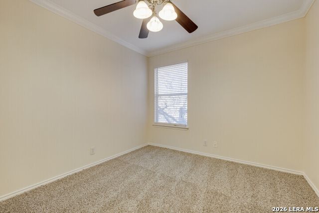 16907 Redhorse, San Antonio, TX 78247