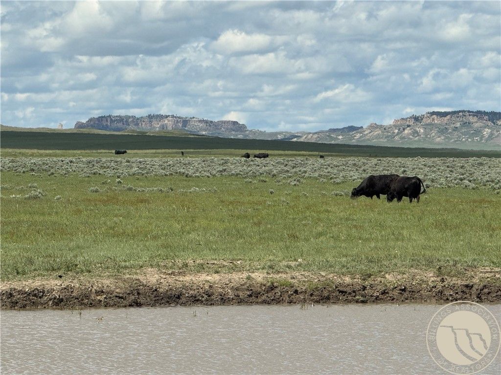 0 Little Missouri Rd, Other, MT 59311 photo 15