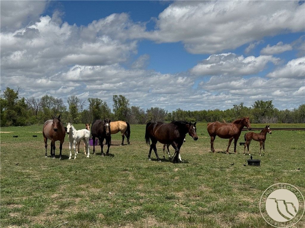 0 Little Missouri Rd, Other, MT 59311 photo 6