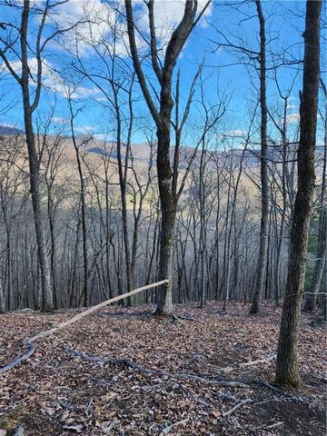 000 Trackrock Gap Road, Blairsville, GA 30514