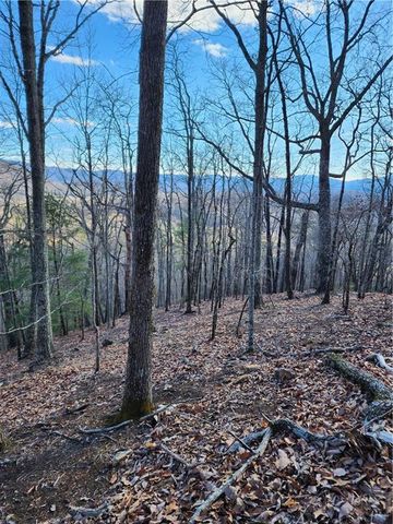 000 Trackrock Gap Road, Blairsville, GA 30514