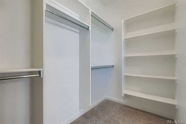 8436 William Downing Drive, Colorado Springs, CO 80908