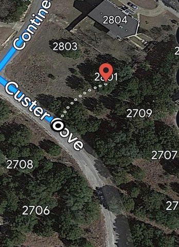 2801 Custer CV, Lago Vista, TX 78645