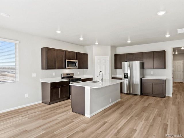 1683 Yampa River Dr, Windsor, CO 80550