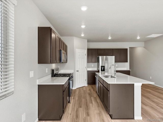 1683 Yampa River Dr, Windsor, CO 80550