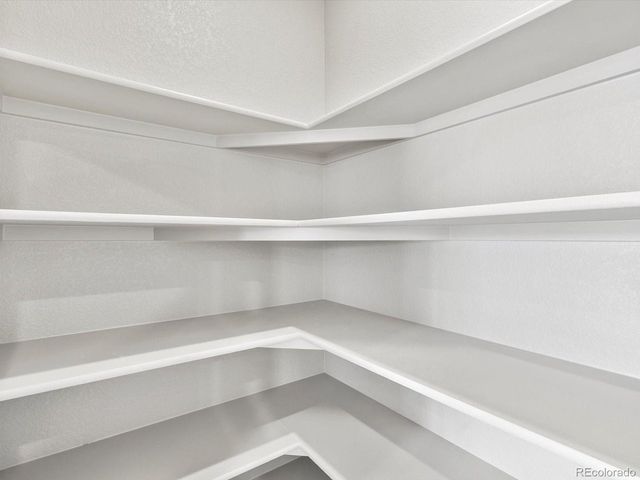 1683 Yampa River Dr, Windsor, CO 80550