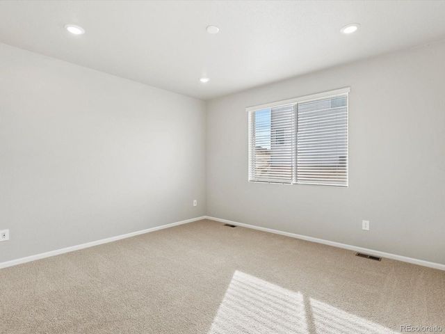 1683 Yampa River Dr, Windsor, CO 80550