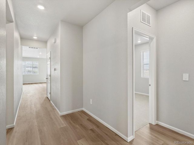 1683 Yampa River Dr, Windsor, CO 80550