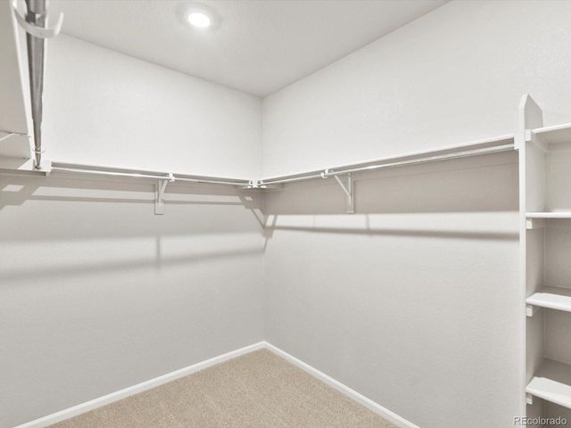 1683 Yampa River Dr, Windsor, CO 80550