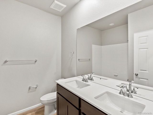 1683 Yampa River Dr, Windsor, CO 80550