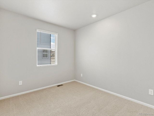 1683 Yampa River Dr, Windsor, CO 80550