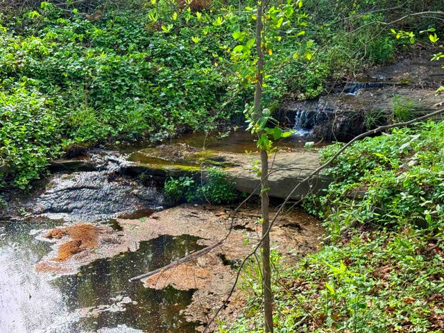 353 Fagan Drive, Inman, SC 29349