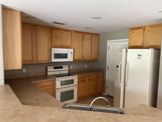 2508 HASSONITE STREET, Kissimmee, FL 34744