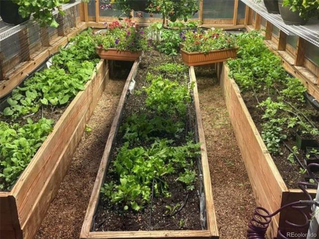 33799 Warren Road, Pine, CO 80470