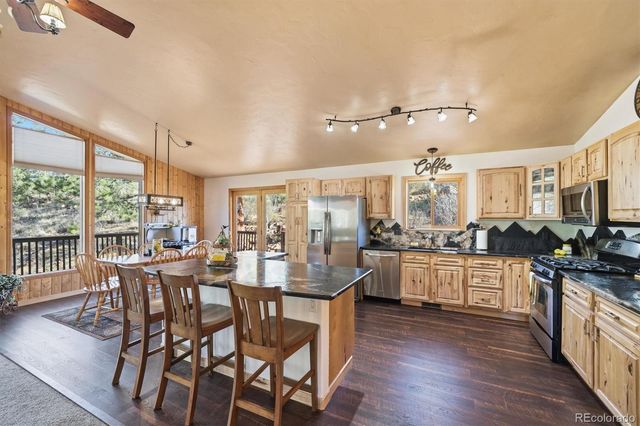 33799 Warren Road, Pine, CO 80470