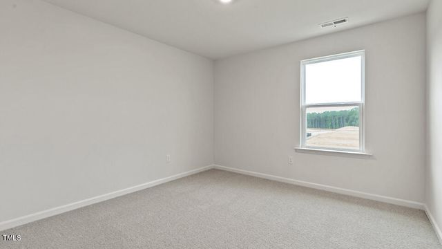 829 Comice Pear Way, Willow Spring, NC 27592